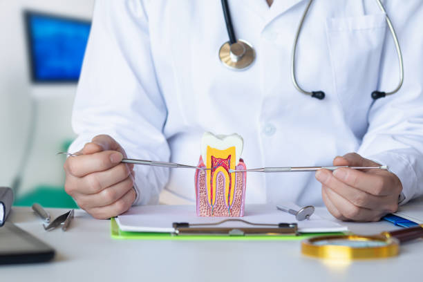 Best Root Canal Emergency Dentist  in Thomson, GA